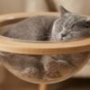 Modern 68.9" Solid Wood Cat Tree with Acrylic Space Capsule