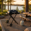 05_露营场景 Portable Gas BBQ Grill with Folding Carry Design for Patio, Camping & Outdoor Cooking